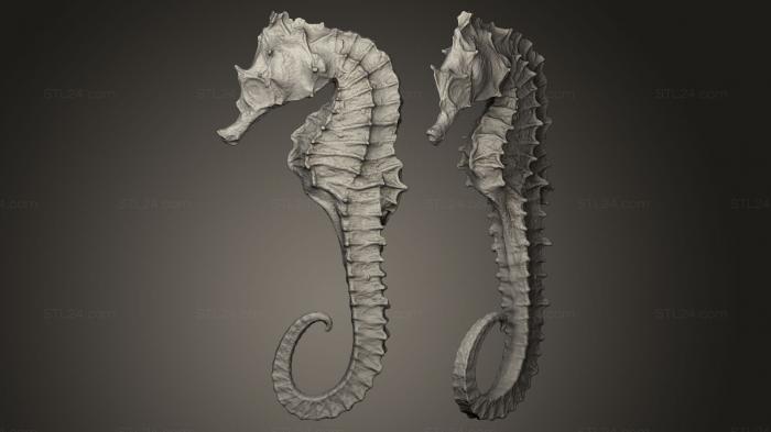 Animal figurines (sea horse, STKJ_0106) 3D models for cnc